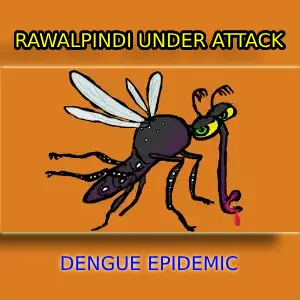 DENGUE VIRUS IN RAWALPINDI IS WRITTEN IN PIC WITH PIC OF DENGUE VIRUS