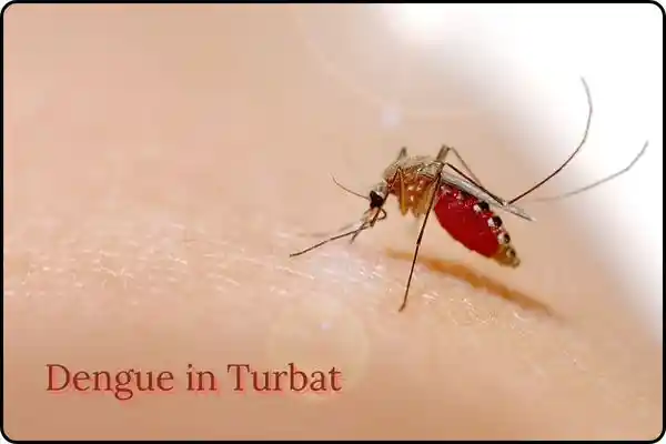 Dengue in Turbat