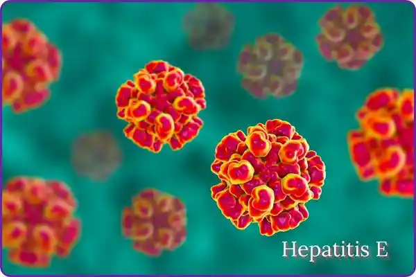 Hepatitis E is written with picture of virus E particles