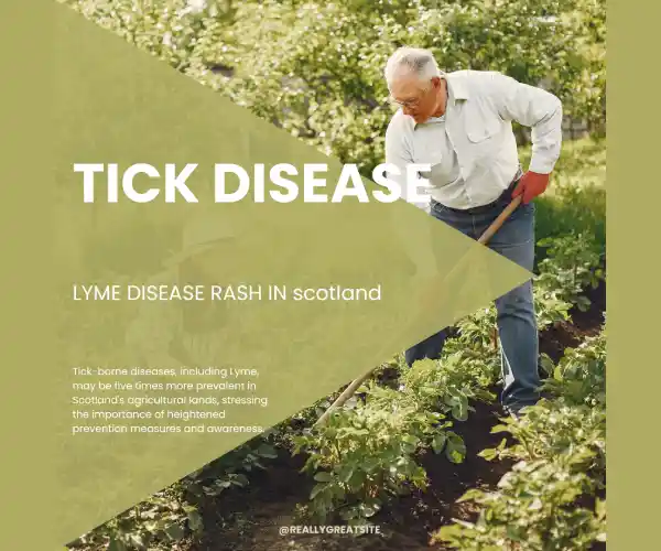 lyme disease rash or tick disease is written in the pic