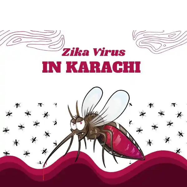 zika virus