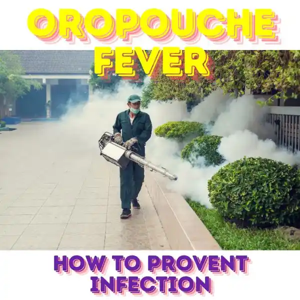 oropouche fever