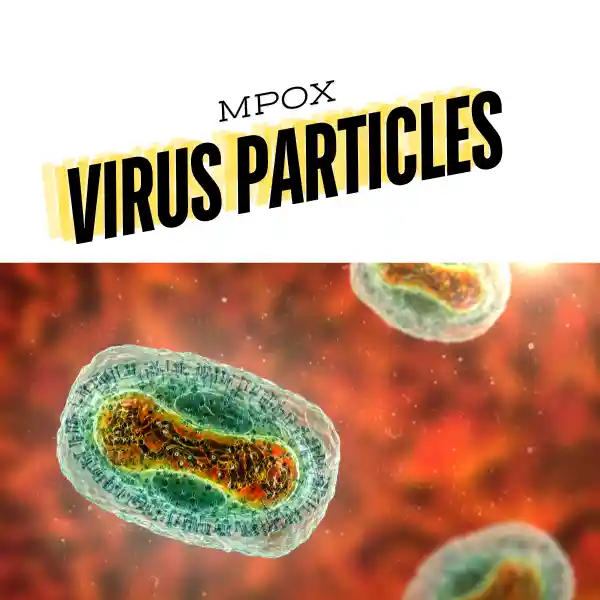 MONKEYPOX VIRUS ILLUSTRATIONS