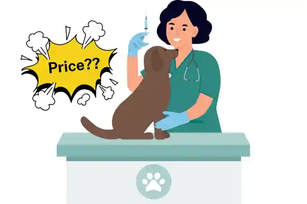 rabies vaccine injection