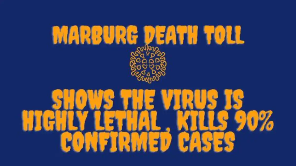 Marburg Death toll