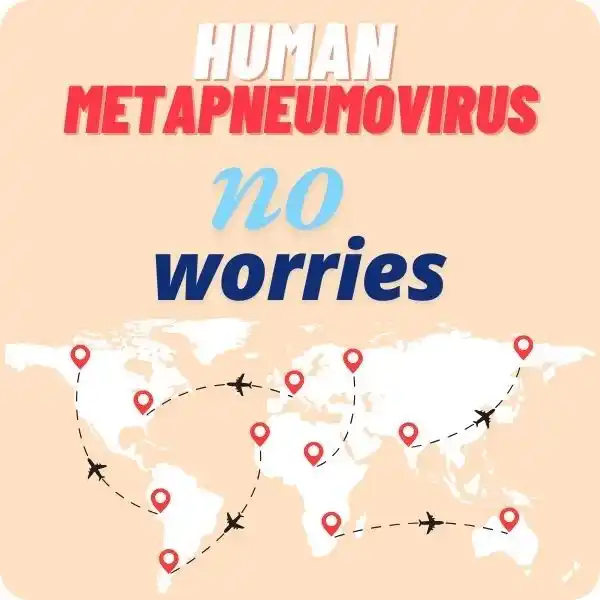 human Metapneumovirus