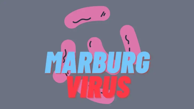 Marburg virus